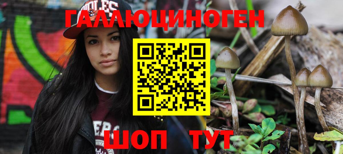 Галлюциногенные грибы Psilocybe  Вход с VPN  Киреевск 